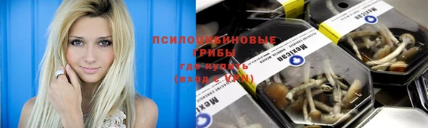 соль курить ск Богданович